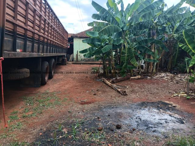 TERRENOS VILA ALMEIDA - CAMPO GRANDE MS - Foto 1 de 5